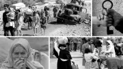 النكبة الفلسطينية في ذكراها الـ78.. تصعيد إسرائيلي متواصل في غزة والضفة