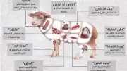 إصابة 8 أشخاص في مشاجرة بالأسلحة البيضاء في قنا