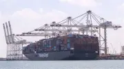 حركة ملاحية نشطة بميناء دمياط.. استقبال 9 سفن ومغادرة 11 خلال 24 ساعة