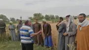زراعة الأقصر: انطلاق موسم توريد القمح وزراعة 975 فدان قصب خلال أبريل