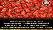 نفي وجود طماطم مرشوشة بالإثيريل في الأسواق المصرية