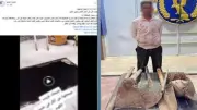 بلاغ تصدع عقار يقود الشرطة لكشف جريمة تنقيب عن الآثار بالمنوفية