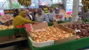 محافظ الدقهلية يشدد على جودة السلع والتزام الأسعار في المعرض الدائم