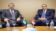وزير الخارجية يلتقي نظيره السوري غدا لبحث العلاقات الثنائية