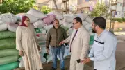 بدء موسم توريد القمح في دمياط بمتابعة يومية ولجان فحص