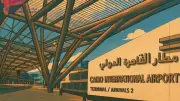 إحباط تهريب شمبانزي وزواحف نادرة بمطار القاهرة ونقلها لحديقة حيوان الإسكندرية