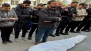 أشرف أبو الهول: الدعم المصري لغزة مستمر لتعزيز صمود الفلسطينيين