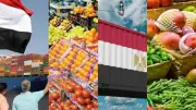 برلمانية: طفرة الصادرات الزراعية تؤكد أن مصر أصبحت قوة تصديرية لا يُستهان بها