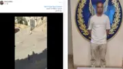 القبض على متهم ضرب كلباً حتى الموت في التجمع الخامس