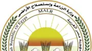 الزراعة توجه بوقف الري والرش فورًا بسبب سوء الأحوال الجوية