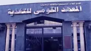 القومي للتغذية: البيض والدواجن واللبن آمنة ولا تشكل خطورة على الصحة