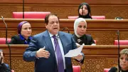 أبو العينين: مصر حافظت على شبكة الحماية رغم التحديات الدولية