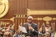 حازم الجندي: تضامن مصر مع أشقائها يؤكد وحدة المصير والدم