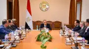 وزير الخارجية يبحث مع شركات مصرية تعزيز النشاط الاقتصادي في أفريقيا