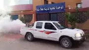 محافظ أسوان يوجه بحملات مكافحة حشرات مكثفة في كلابشة