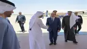أستاذ علاقات دولية: زيارة السيسي للإمارات تؤكد أولوية أمن الخليج