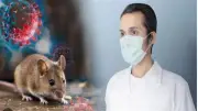 فيروس هانتا ليس وباء عالميا.. طبيب يوضح المضاعفات وطرق الوقاية