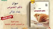 ديوان 