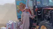 من السير القاتل إلى التكنولوجيا الذكية: ثورة في دراسة القمح بالمنوفية