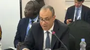وزير الخارجية يشارك في اجتماع إصلاح مجلس الأمن بأفريقيا