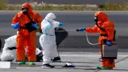 ارتفاع إصابات هانتا بين ركاب سفينة سياحية في أمريكا وفرنسا
