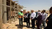 محافظ القاهرة: شهر متبقي على افتتاح شلتر الكلاب الضالة بعيادات متخصصة
