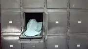 مصرع شخص وإصابة آخر في حادث تصادم بالدقهلية
