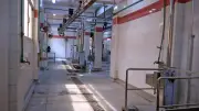 محافظ سوهاج يتابع استعدادات الطب البيطري لاستقبال عيد الأضحى