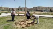 توسعة الرقعة الخضراء وتطوير المناطق السكنية في زهور بورسعيد