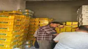 الزراعة تضبط تقاوي سورجم مقلدة ومغشوشة في الفيوم