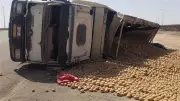 إصابة سائق في انقلاب تريلا محملة بالبطاطس بالوادي الجديد