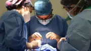 نقيب التمريض: الحفاظ على حياة المواطن قضية أمن قومي