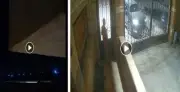 فيديو قديم وادعاءات كاذبة.. الأمن يكشف حيلة مزارع بالبحيرة لتضليل الرأي العام