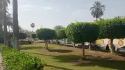 رفع كفاءة المسطحات الخضراء والنظافة في كفر الشيخ ضمن مبادرة جميلة يا بلدي