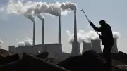 الحزب المصري الديمقراطي يطالب بتحويل المقومات الطبيعية لأصول خضراء في سوق الكربون