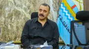 كفر الشيخ تنشئ شلاتر إيواء للكلاب الحرة لمواجهة الظاهرة