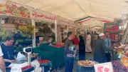 متابعة يومية للأسعار والتخفيضات بالمعرض الدائم للسلع الغذائية بالدقهلية