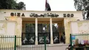 موعد افتتاح حديقة الحيوان بالجيزة بعد التطوير.. هل سيكون قبل عيد الأضحى؟