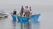 ظهور قرش الماكو على شواطئ القصير يثير الجدل ويثري البيئة البحرية