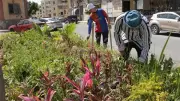 محافظ بورسعيد يتفقد أعمال التشجير والتجميل في أحياء المحافظة