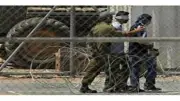 الأمم المتحدة تطالب بمحاسبة المتورطين في تعذيب الأسرى الفلسطينيين بالسجون الإسرائيلية