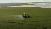 وكيل إفريقية النواب: الدولة حولت تحديات الصحراء إلى إنتاج وأمن غذائي