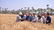 رئيس جامعة القاهرة يتفقد محطة التجارب الزراعية ويوجه بتعزيز الشراكة مع القطاع الخاص