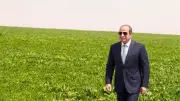 تفاصيل افتتاح السيسي لمشروع الدلتا الجديدة والأحمال الكهربائية خلال الموجة الحارة