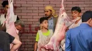 من الشراء إلى التخزين: دليل صحي كامل للتعامل مع لحوم الأضاحي في العيد