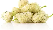 فوائد التوت الأبيض المذهلة لصحتك في موسمه
