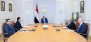 توجيهات السيسي بشأن الكهرباء والطاقة الجديدة إنفوجراف