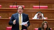 أبو العينين: مصر واجهت بحسم مخططات تفكيك الدولة الليبية