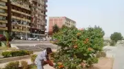 جهود مكثفة بأسوان لتحسين النظافة والمظهر الحضاري في المحافظة