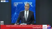 عبد العاطي: لا أمن في الشرق الأوسط دون حل عادل للقضية الفلسطينية